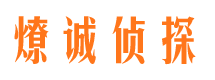 陆河市婚外情调查